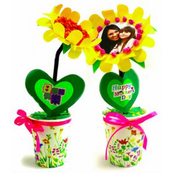 DIY Mother's/Teacher's Day Flower Pot 10 Pack